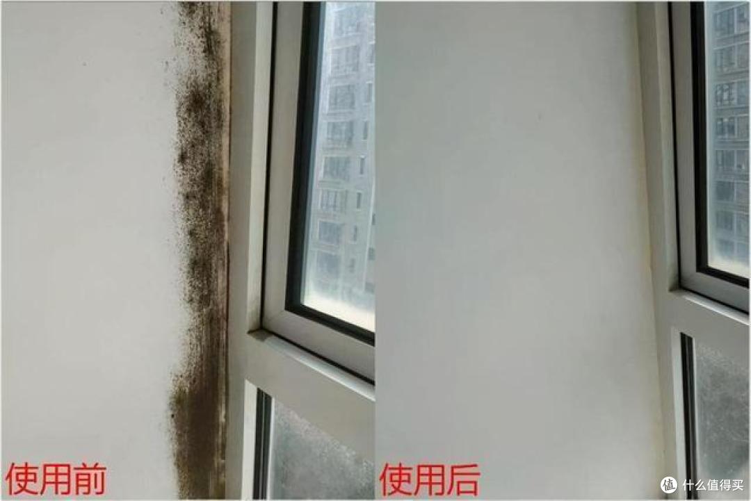 买时“肉疼”,用着“真香”!这4种黑科技家居好物,幸福感倍增