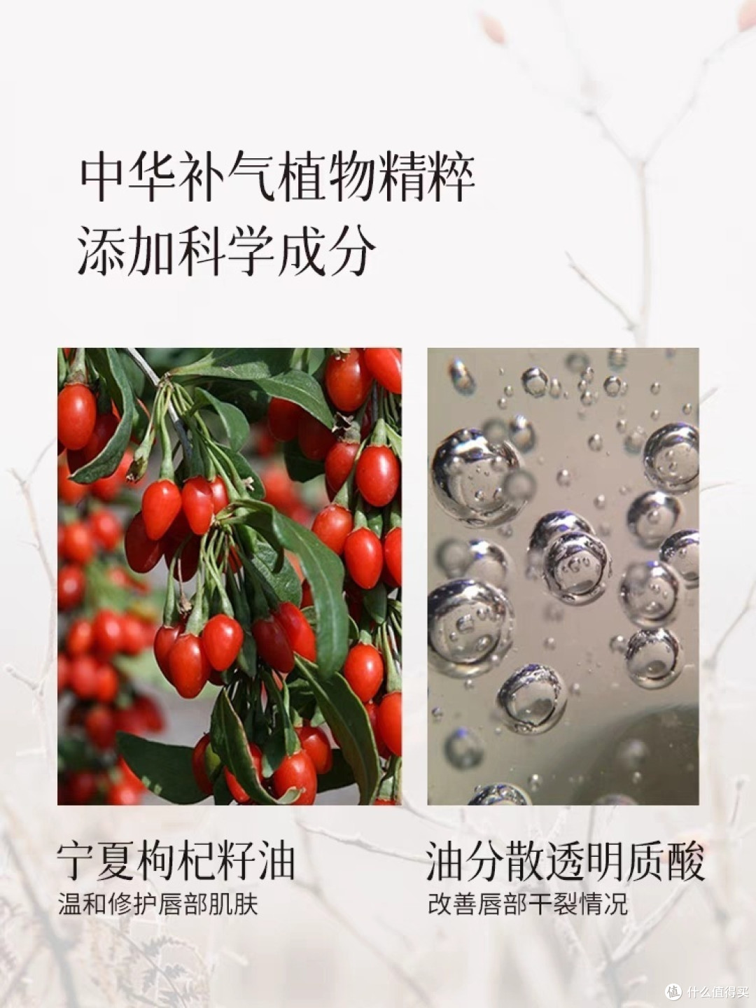 气蕴唇膏心动色
