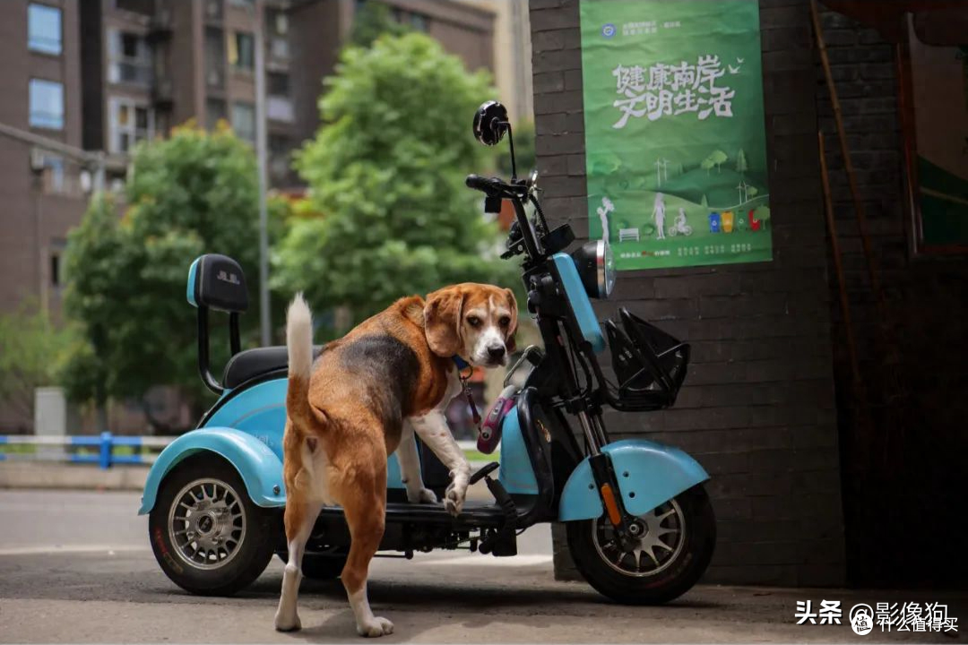 8b79f471f1c74f528a9a8a7a428f6796~tplv-tt-origin-asy2:5aS05p2hQOW9seWDj-eLlw==.image?_iz=58558&from=article.pc_detail&x-expires=1698205697&x-signature=wNosT%2FZV892LNeB1EhB9bbUXXPw%3D