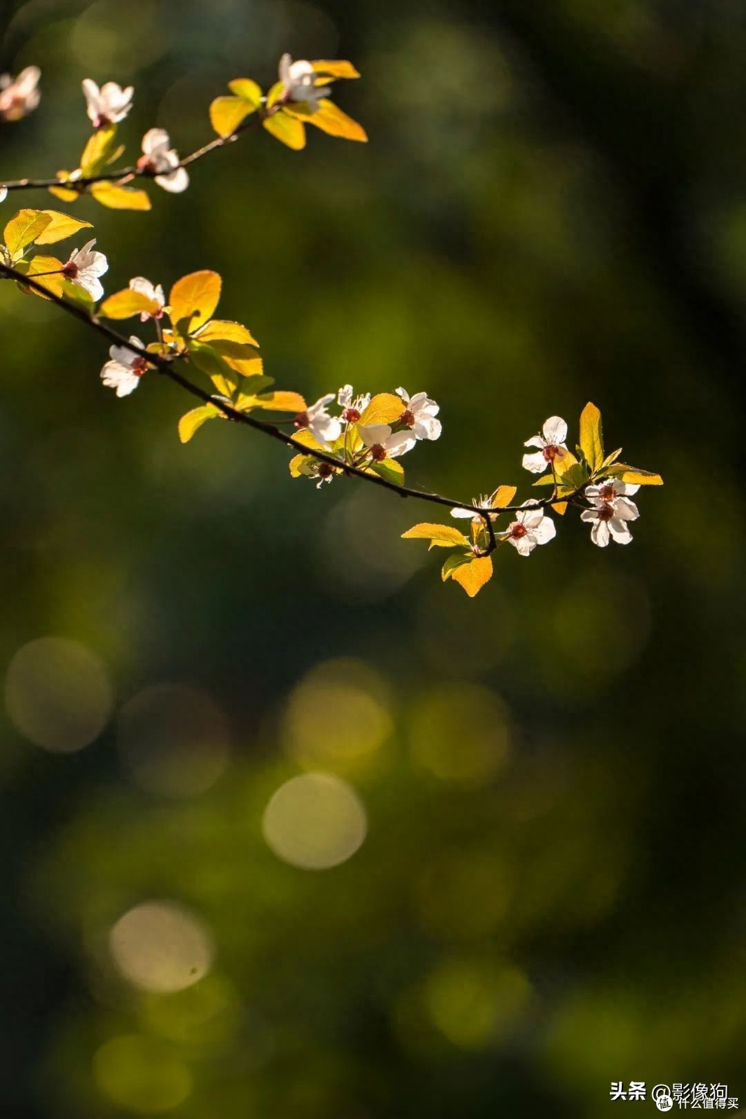 6918bae9b16a4056a037a57a6f9f5801~tplv-tt-origin-asy2:5aS05p2hQOW9seWDj-eLlw==.image?_iz=58558&from=article.pc_detail&x-expires=1698205697&x-signature=oZcAQ6JCOXkS4H0LNr0LtpPxJe8%3D