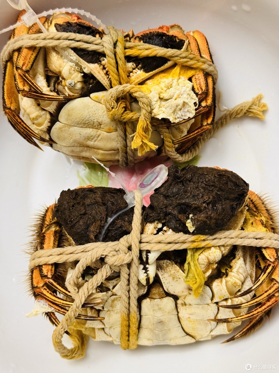 从来没吃过蟹黄这么饱满的阳澄湖大闸蟹,值友们给鉴定鉴定