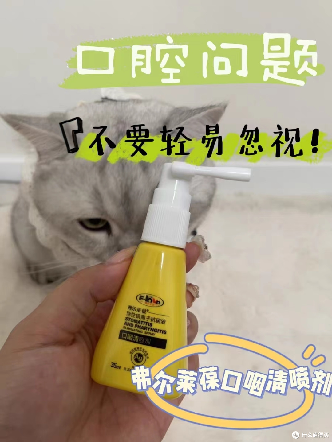 「猫咪口臭怎么办?专家教你解决问题!」