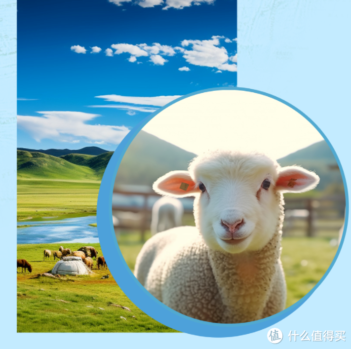 锅圈食品羊羊工厂溯源丨软嫩有奶香，片片真羊鲜