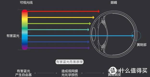 别等娃近视才知道护眼重要性！儿童护眼灯选购科普+飞利浦F9落地灯详细使用测评分享！