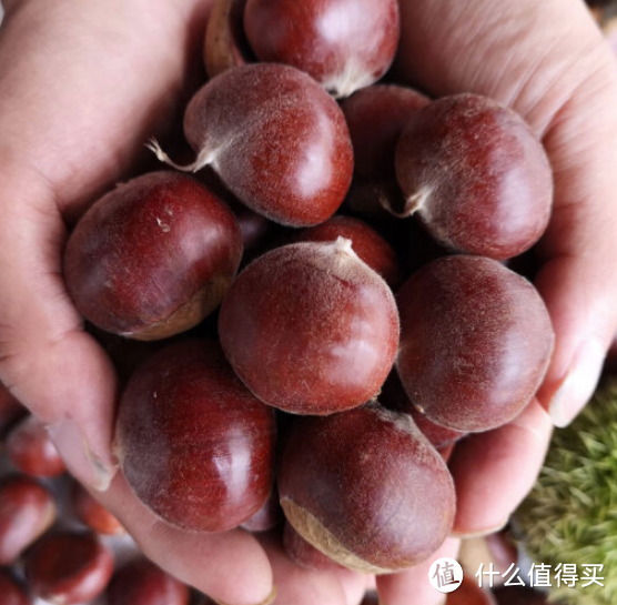 美味诱惑,🌰板栗栗子的独特魅力!