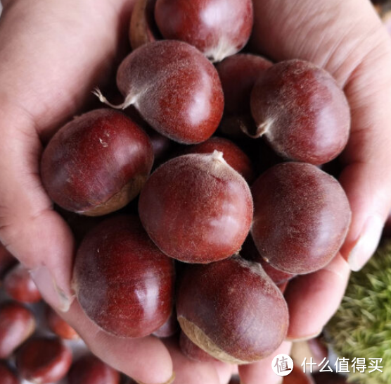 美味诱惑，🌰板栗栗子的独特魅力！