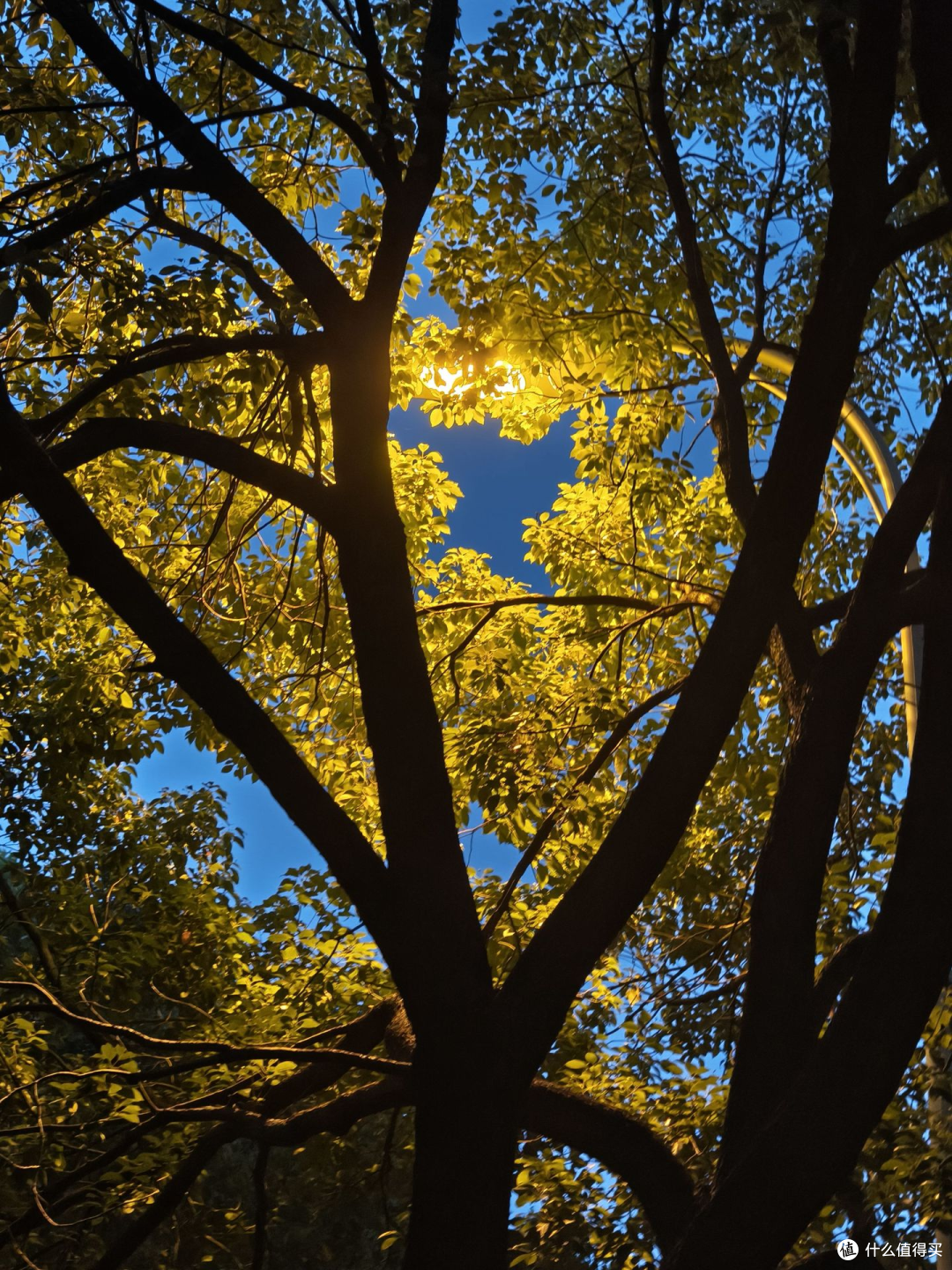 双十一是否值得入手_手机_什么值得买