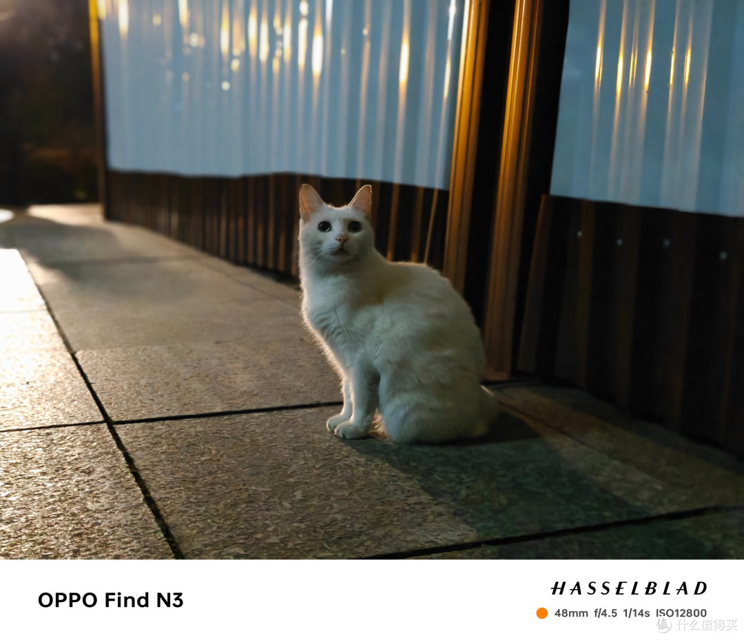 OPPO Find N3：它变大了，也更强了