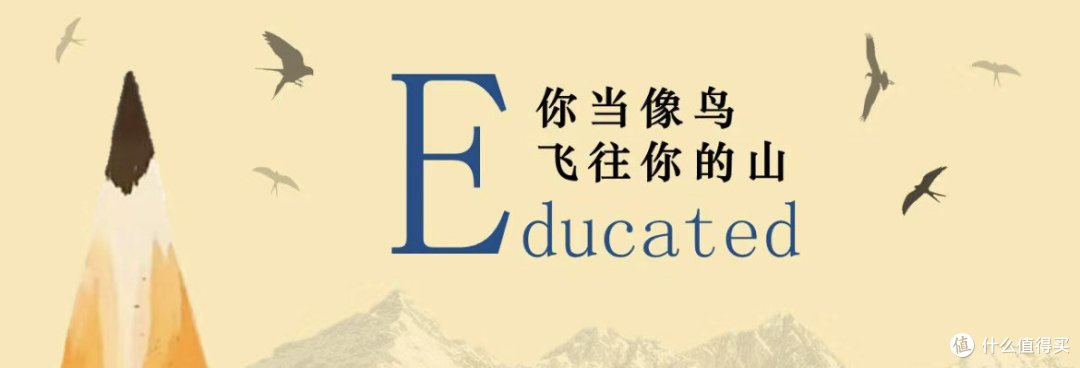 《你当像鸟飞往你的山》之读后感分享!