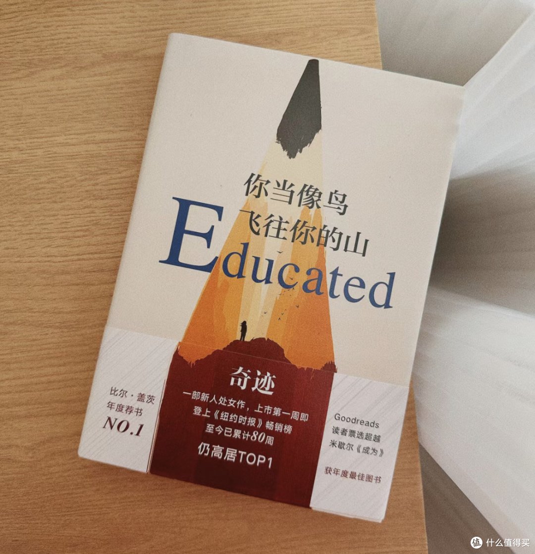 《你当像鸟飞往你的山》之读后感分享!