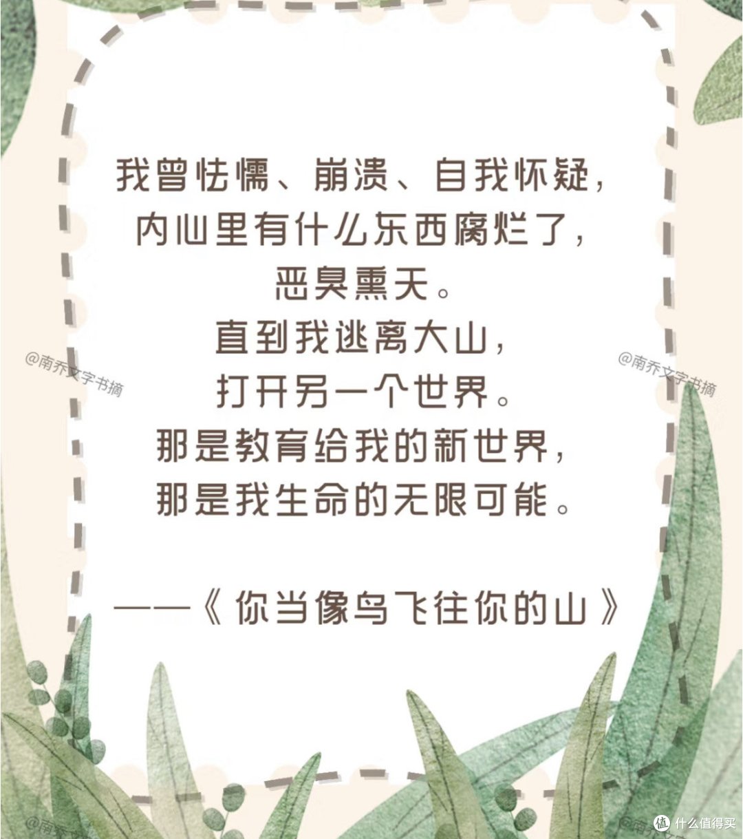 《你当像鸟飞往你的山》之读后感分享!