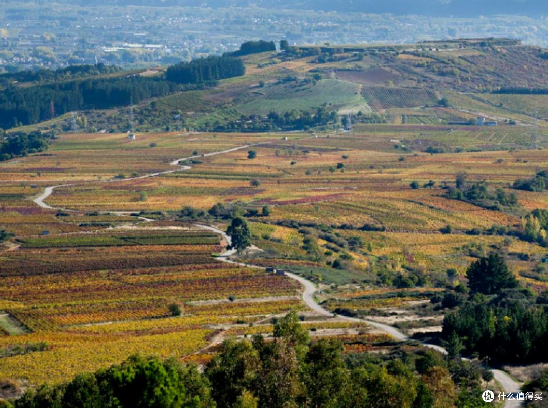 Bierzo DO 丨 图源网络