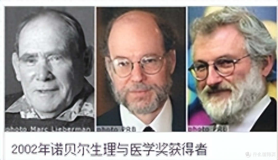 运动对人的寿命有影响吗?