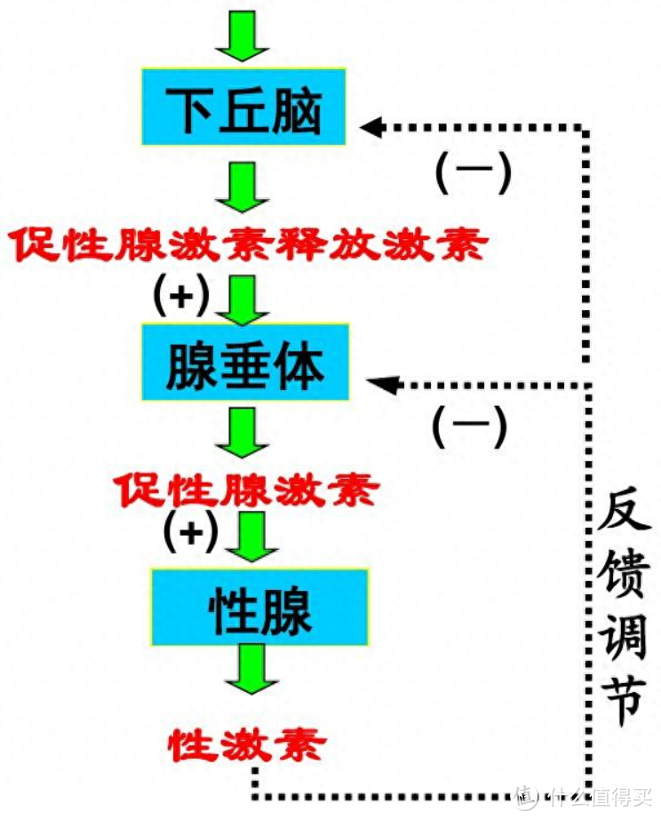 你认为两性关系中，什么最重要？