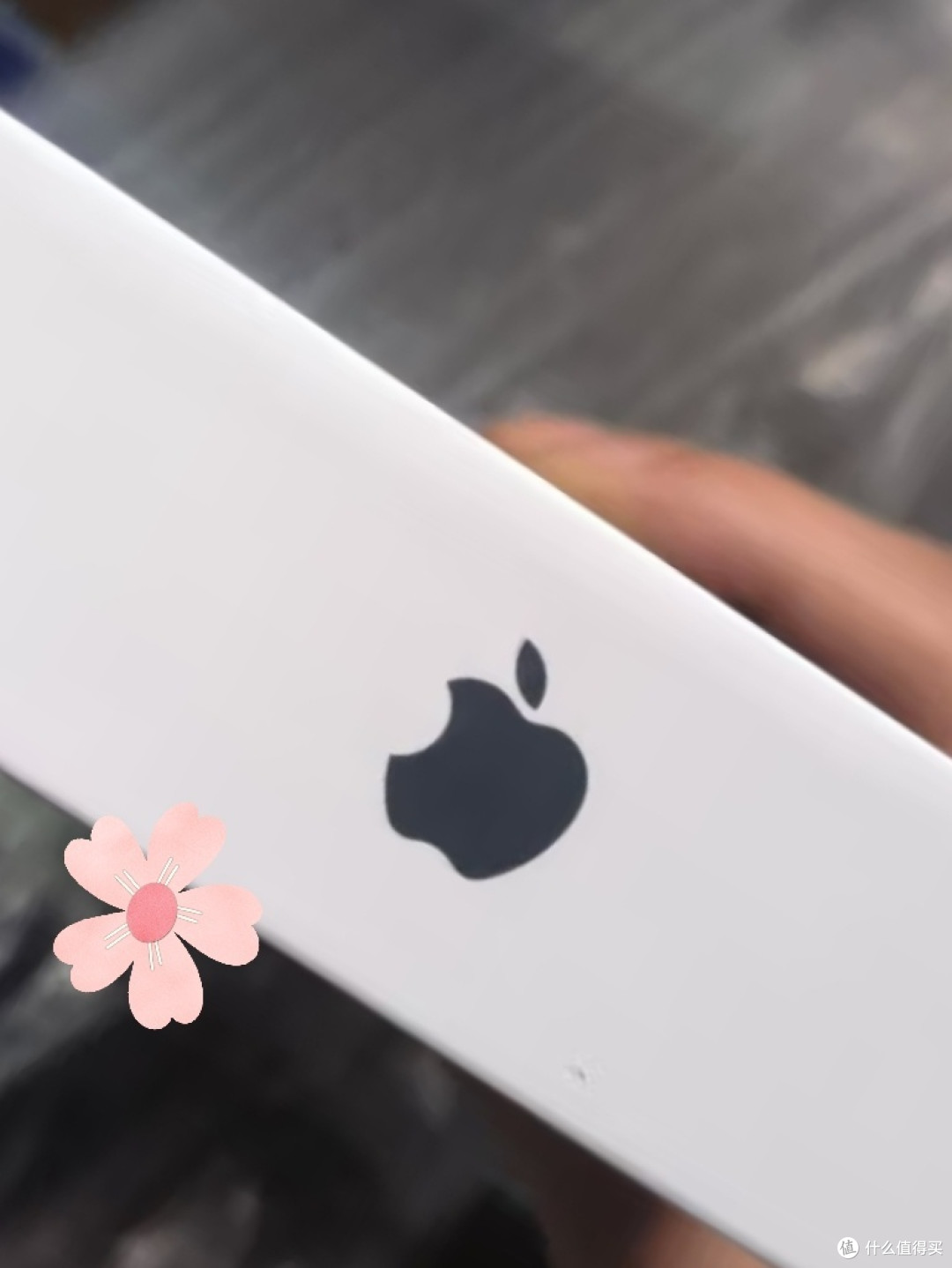 Apple iPhone 15 Pro Max 好用吗