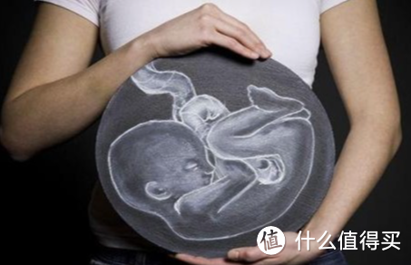 怀孕第几个月是胎儿停育的高峰期？
