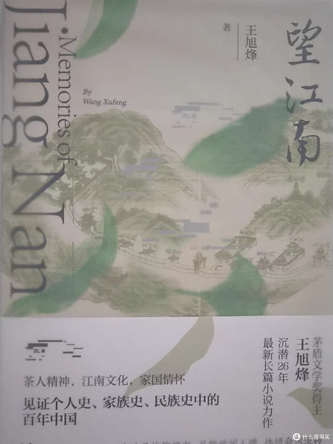 《望江南》：一部深情描绘茶香与家国情怀的小说