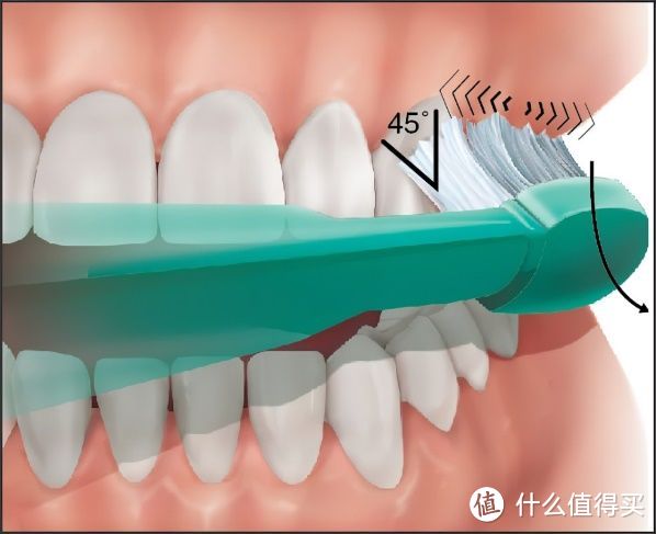 下一代电动牙刷—徕芬扫振电动牙刷上手体验测评：超大摆幅、扫振一体，电动牙刷中的高质价比之选！