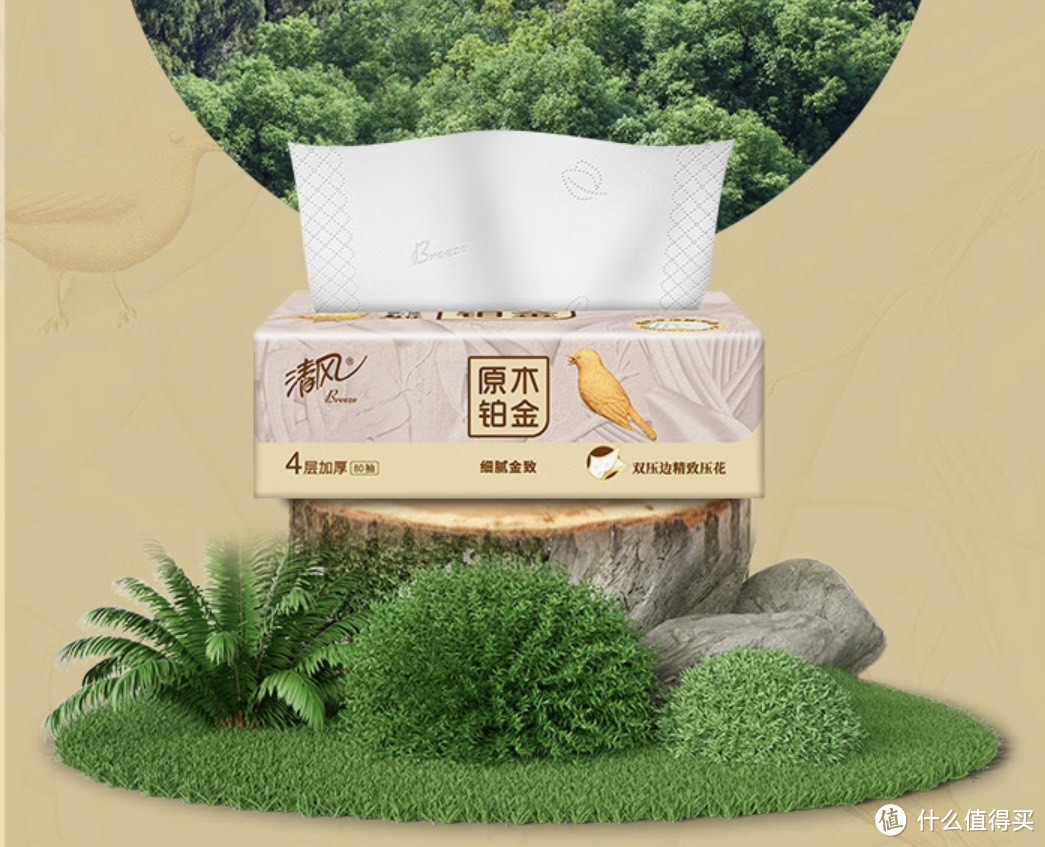 清风纸巾你知道怎么选择吗?