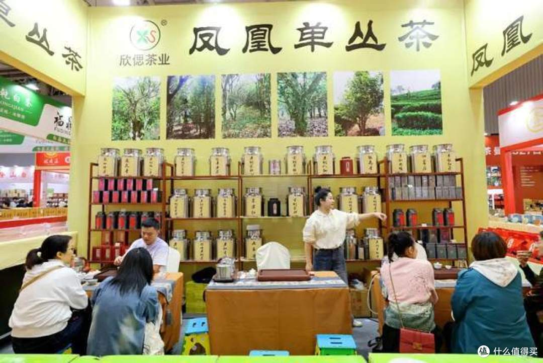 淘!淘!淘!周末打卡成都茶博会,特惠狂欢不负卿