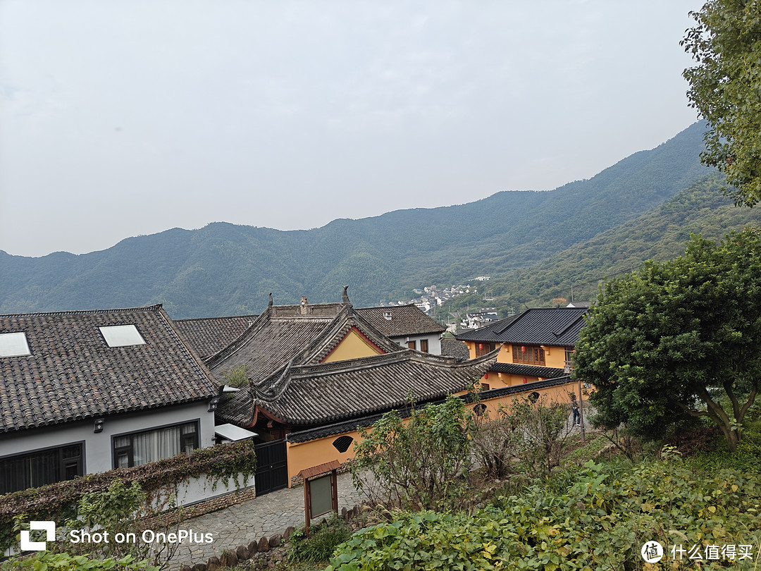 绍兴覆卮山，江浙少见的免费梯田和梯田灯光秀，还有最低海拔的冰川遗迹，值得去徒步！