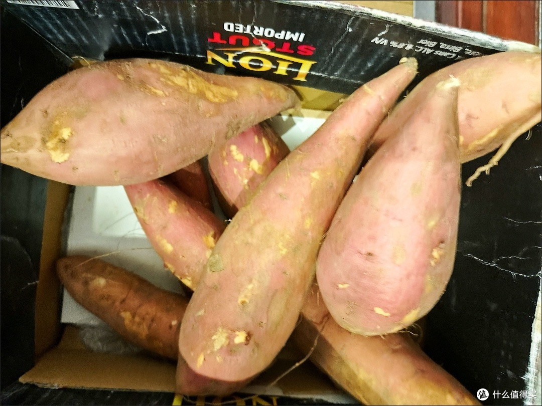 山东蜜薯