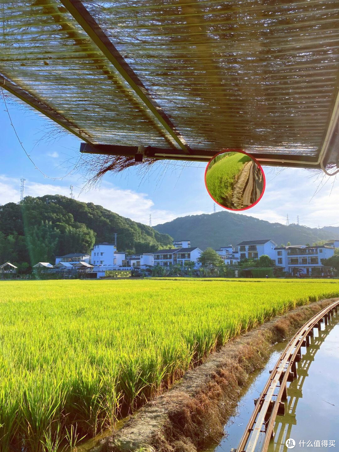稻田里的金色梦想：解密日本稻田里的种植技术