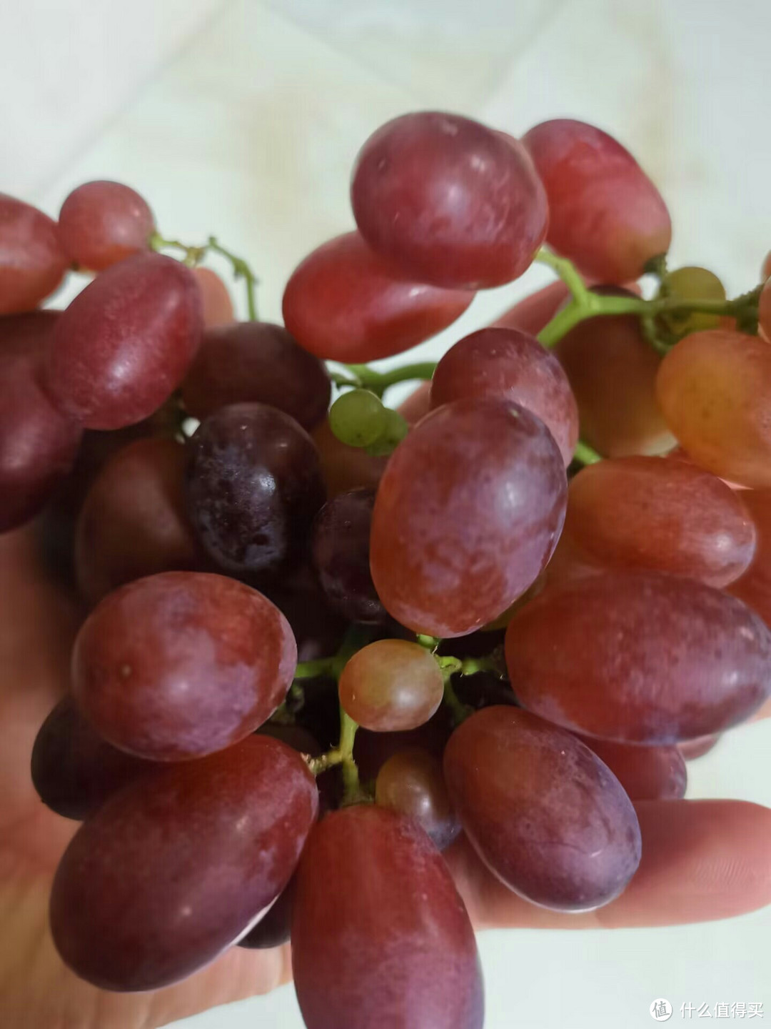 葡萄的营养价值惊人，快来看看你吃对了吗？