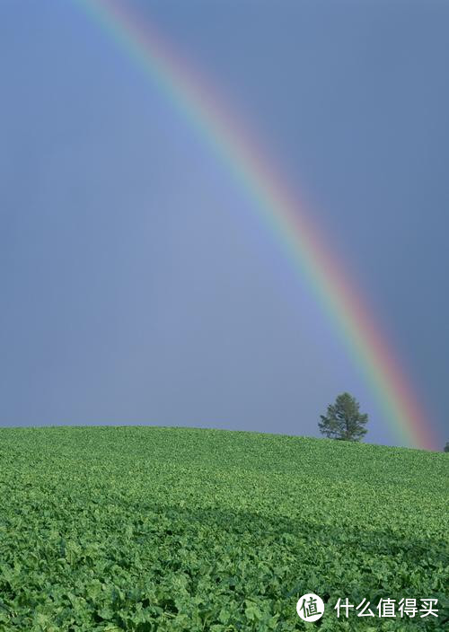 如何在雨天拍出美丽的彩虹照片？