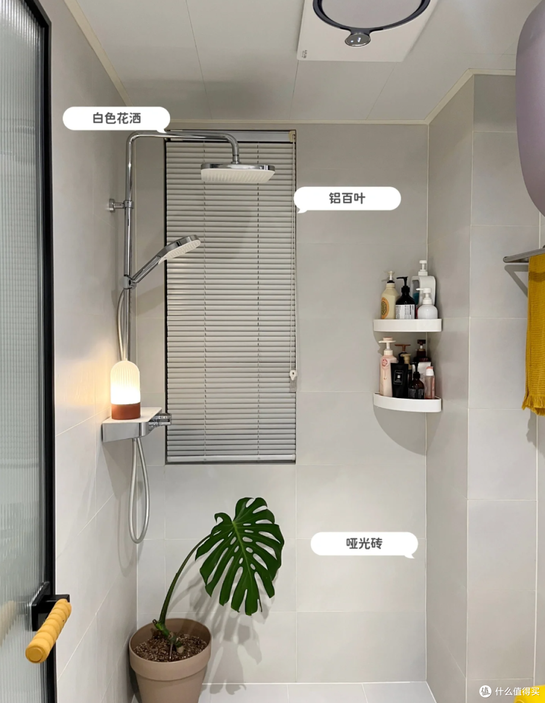 0社交,不出门,为啥年轻人都爱上了独居?河南31岁姑娘有话要说