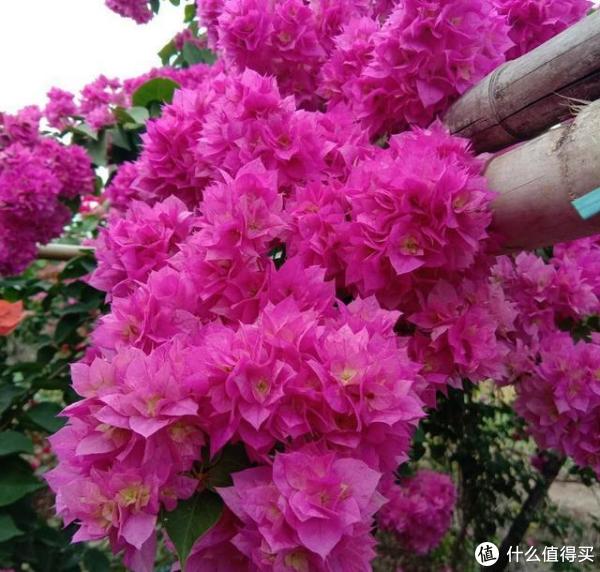 M▽扁額 享和三年癸亥 (210) 安徽防火门的耐火性怎么样_合肥防火门价格_防火门厂家排行_钢制