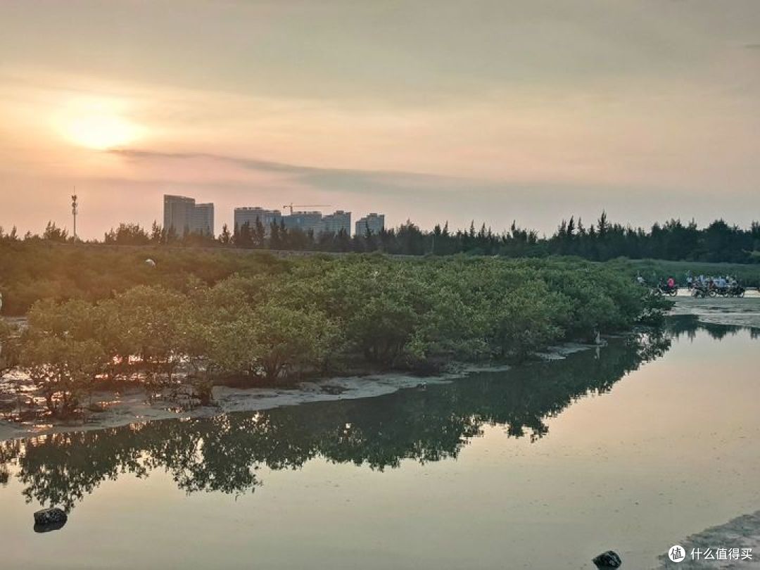 畅游粤桂贵滇，开启4000公里的奇幻之旅！-day14-赶海篇