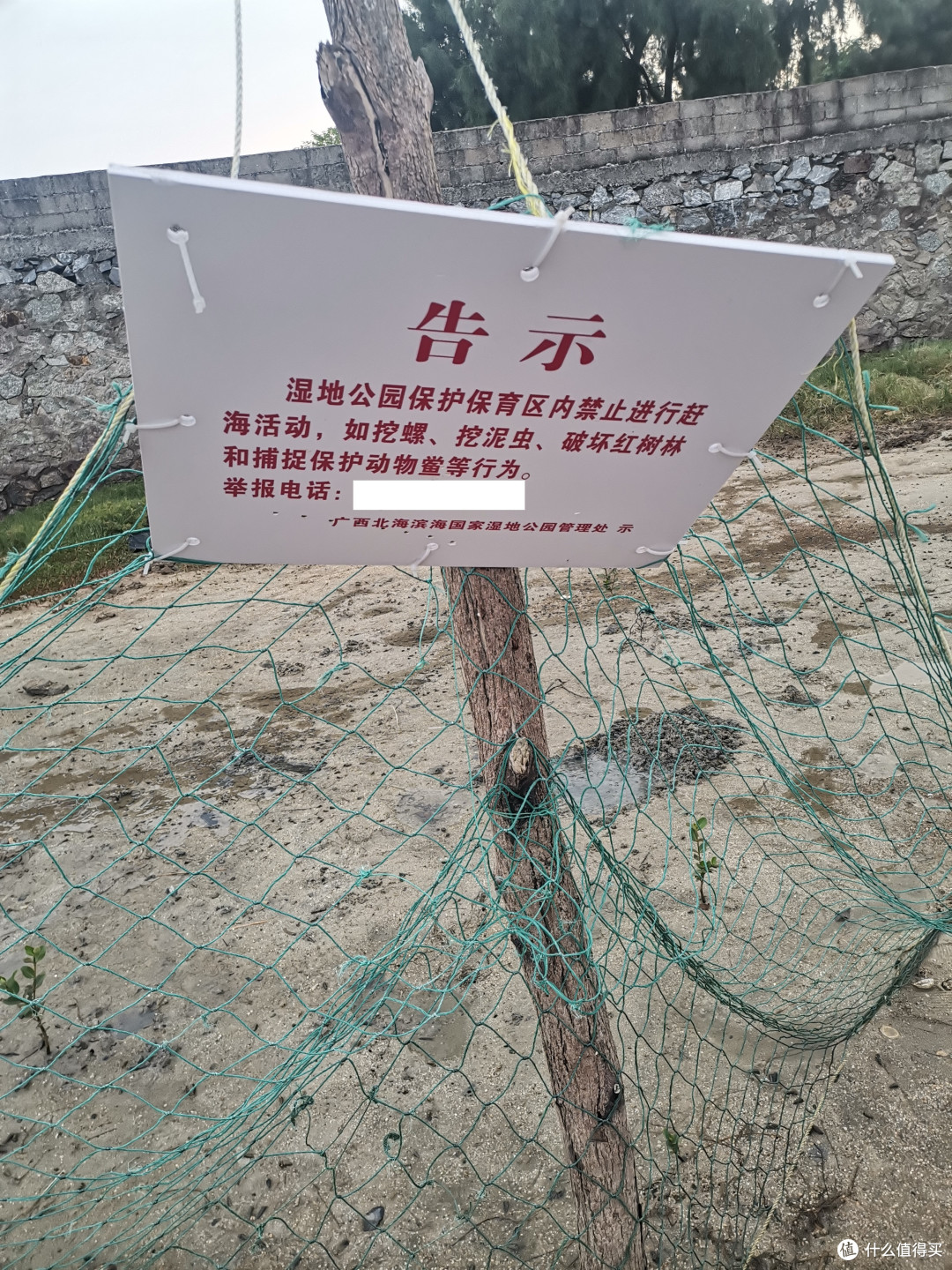 畅游粤桂贵滇，开启4000公里的奇幻之旅！-day14-赶海篇