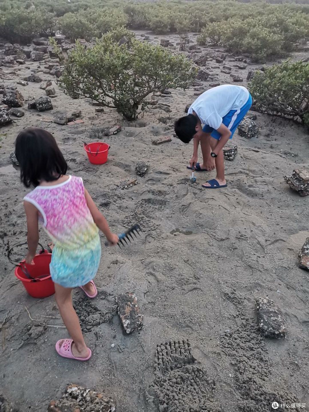 畅游粤桂贵滇，开启4000公里的奇幻之旅！-day14-赶海篇