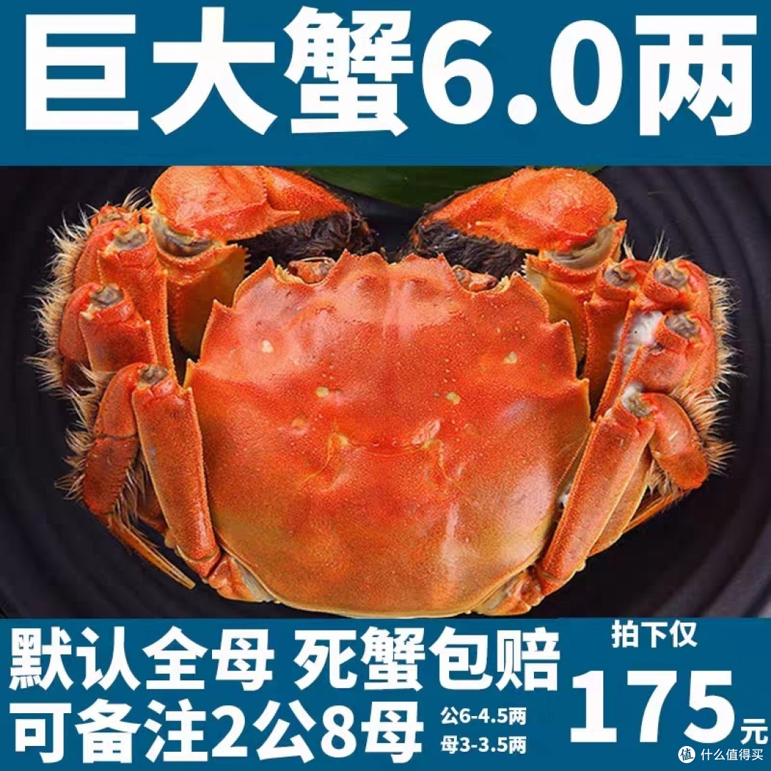清蒸螃蟹真的不错不错不错