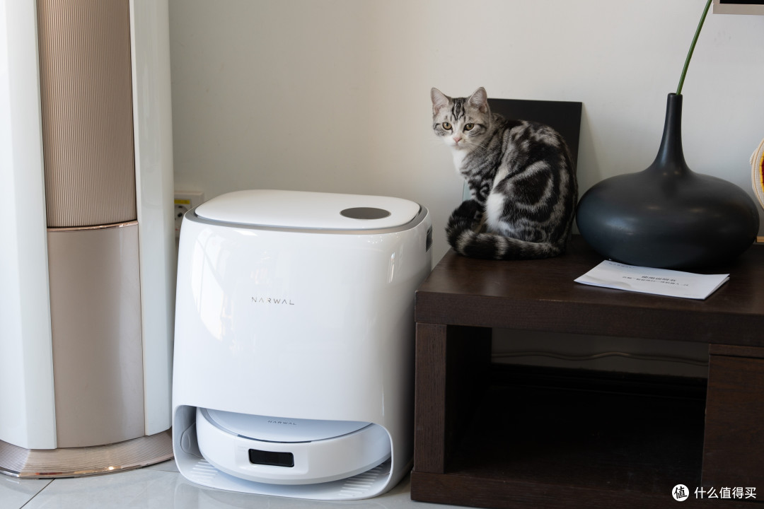 助你解决家务难题，养猫上班族必备神器—云鲸J4扫地机器人