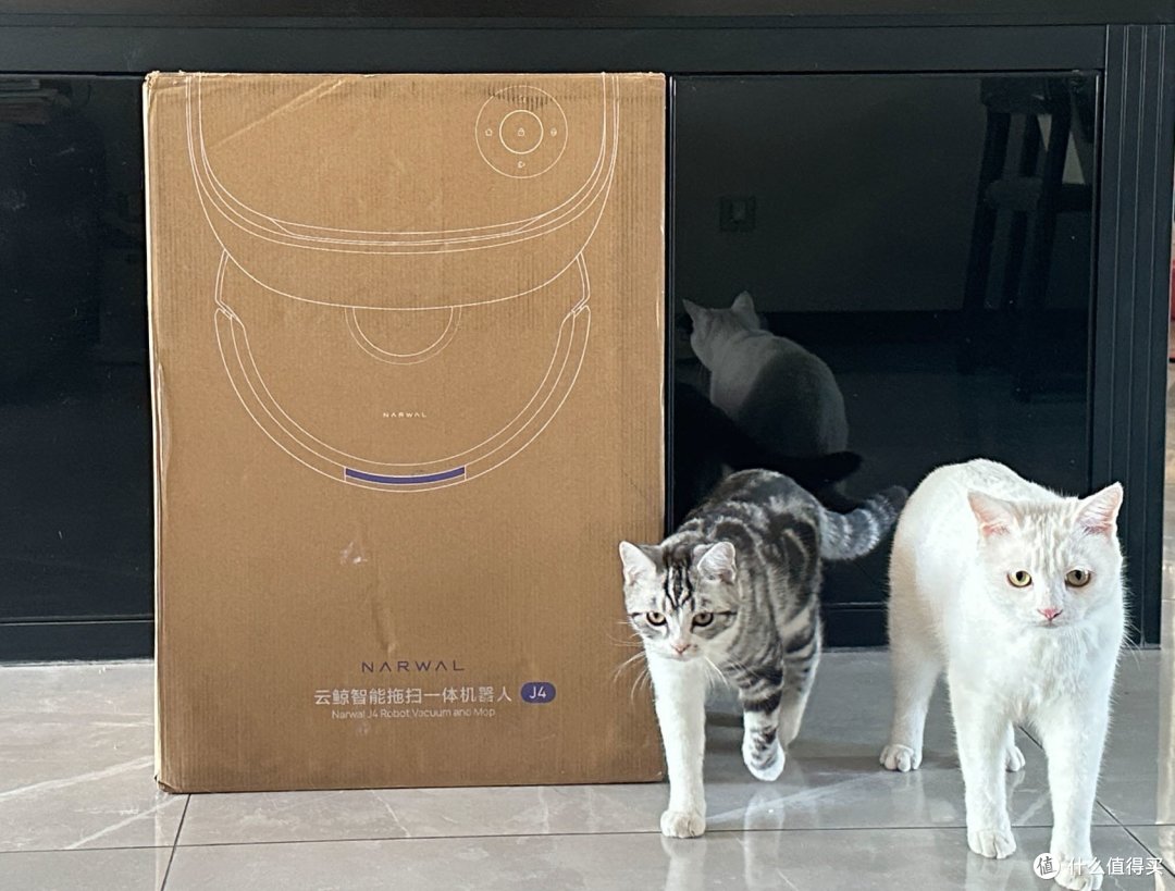 助你解决家务难题，养猫上班族必备神器—云鲸J4扫地机器人