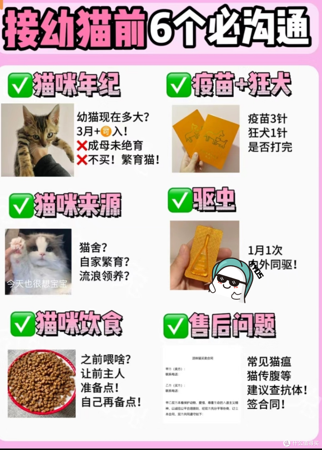 新手养幼猫可以进来看看