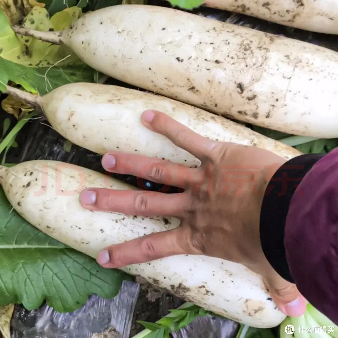 秋季除了吃应季水果蔬菜还要多加强运动哦