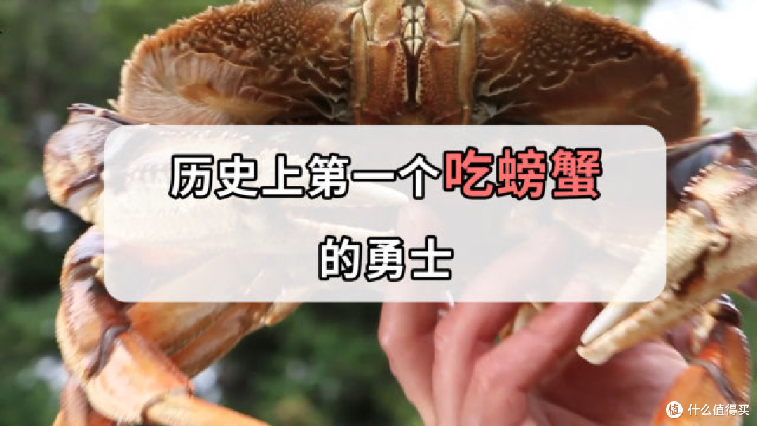 新势力车企更新车型为什么这么快？