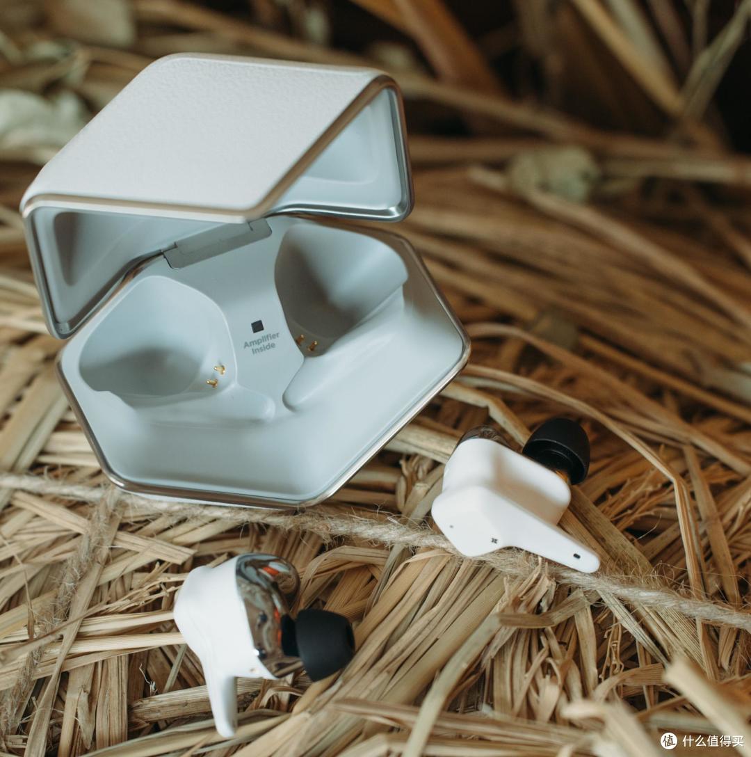 高颜值温婉气质,胆味音色的无线小天鹅Svanar Wireless JR越阶体验