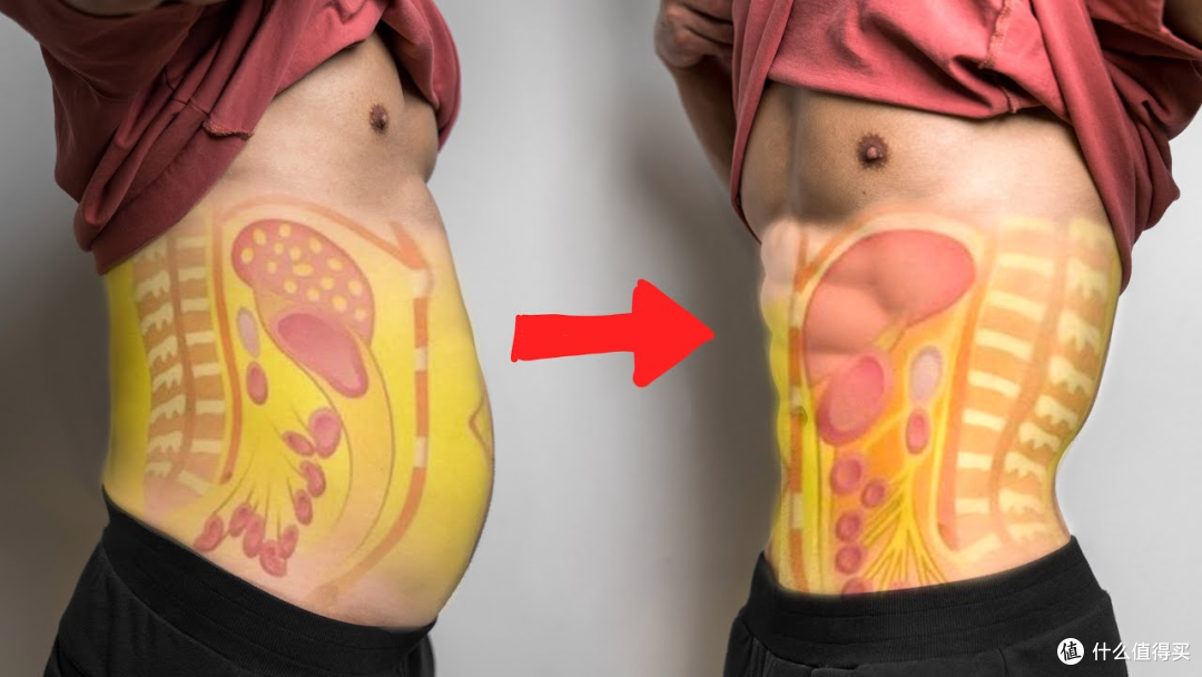 肚子圆鼓鼓,内脏脂肪怎么减?|瘦子也可能有内脏脂肪