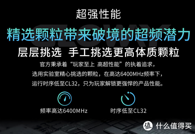 更大的容量,更便宜的价格,买光威龙武24G*2内存不香吗?