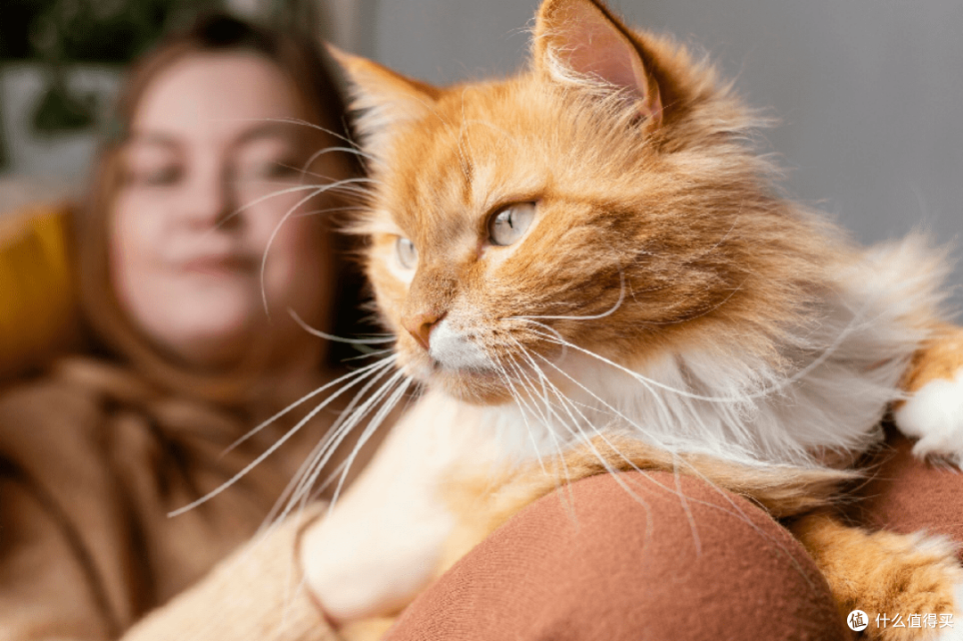 猫罐头什么牌子好一些?2023年八大最好的猫罐头品牌推荐