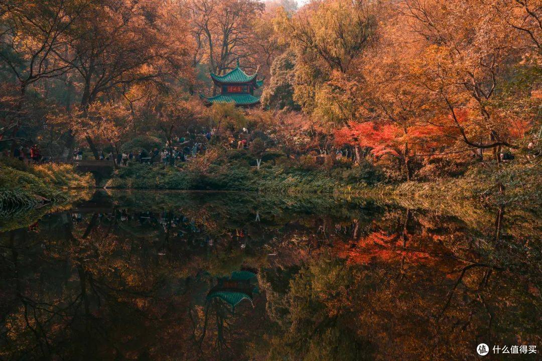 秋日的限定仪式感!解锁迷人“枫”景