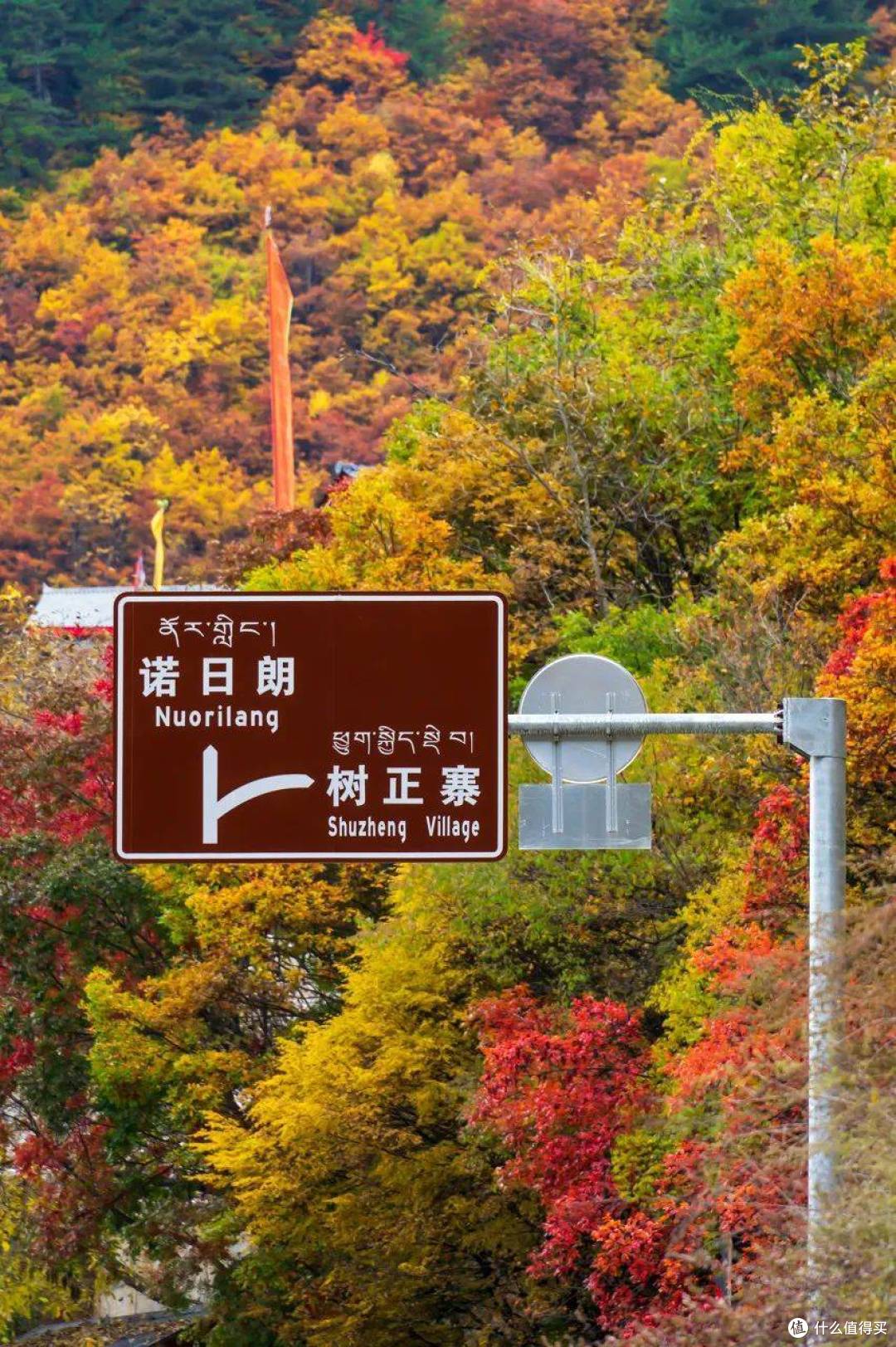 秋日的限定仪式感!解锁迷人“枫”景