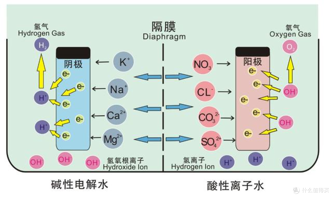 【实测】洗地机界逆子---小米999洗地机问世！这款洗地机怎么样？实测小米999洗地机