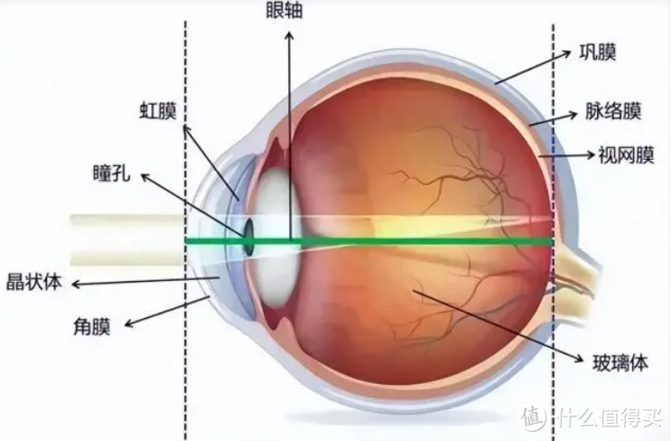 儿童近视防控眼镜怎么选？新乐学、星趣控、小乐圆哪个防控效果好？知识解读+实配选购，一文全部搞定