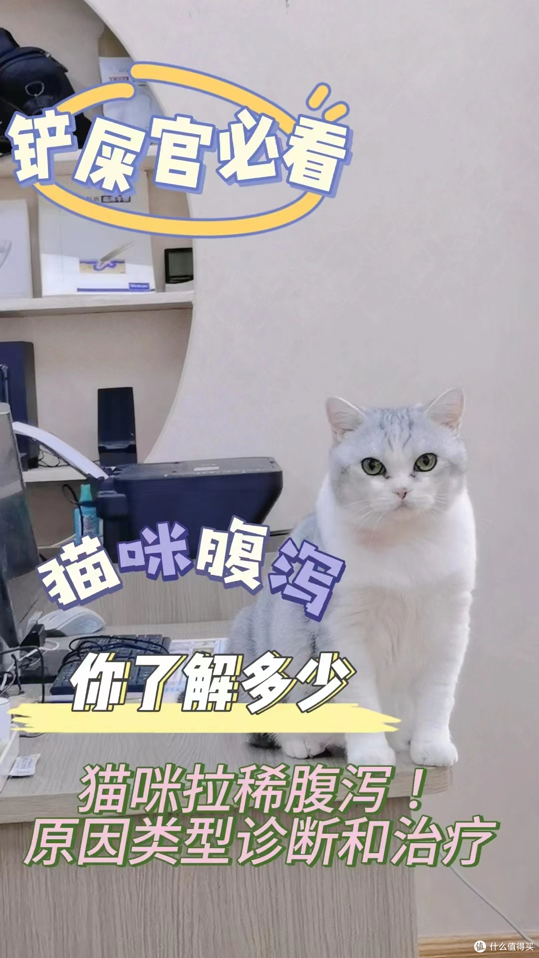 猫咪腹泻自查!保姆级最全指南来喽!(下)