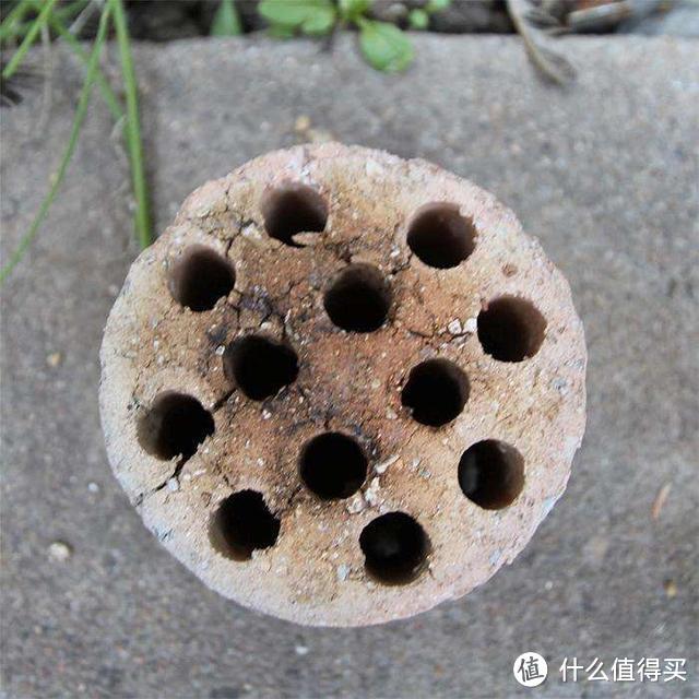 这5种颗粒物是养花的好材料，拌一点到盆土里，透气又透水